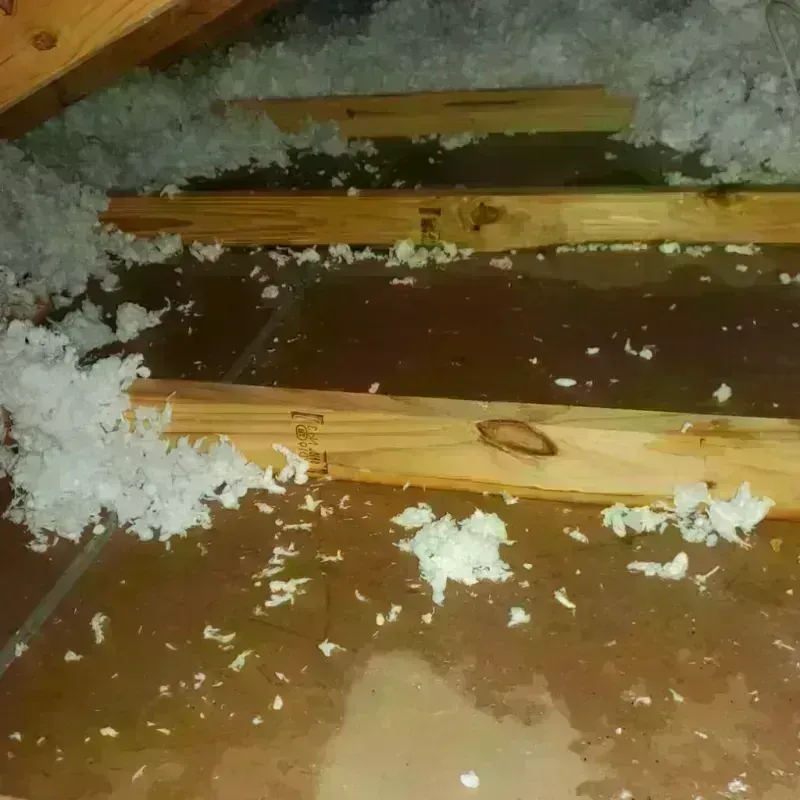 Attic Water Damage in Cherokee Village, AR